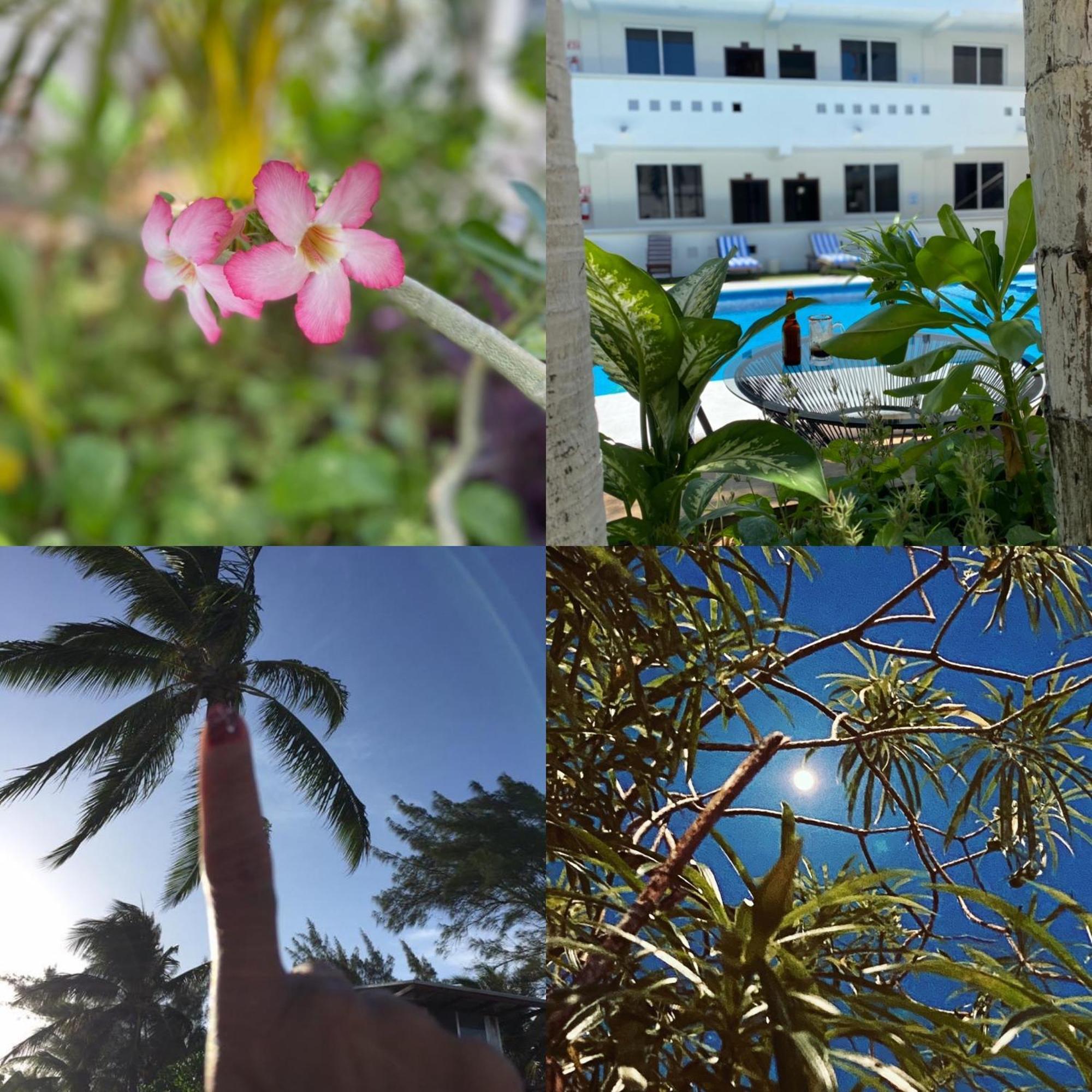 פלאייה דל כרמן Hotel Balxiba מראה חיצוני תמונה
