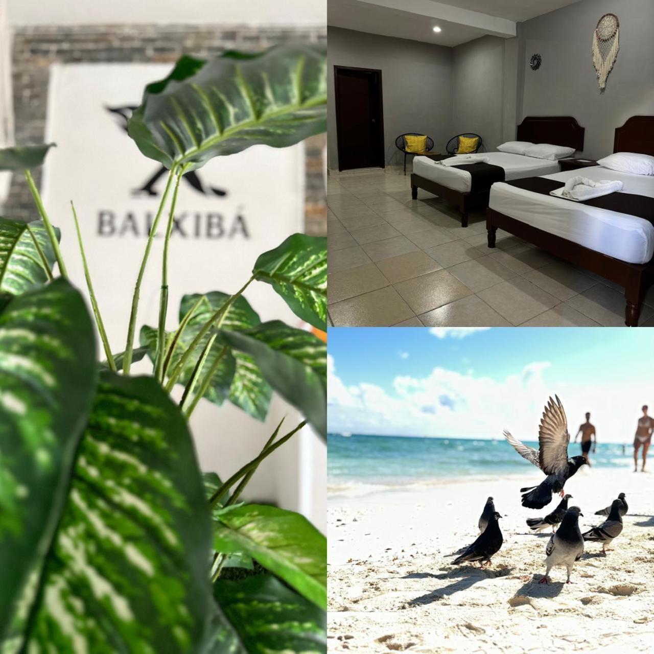 פלאייה דל כרמן Hotel Balxiba מראה חיצוני תמונה